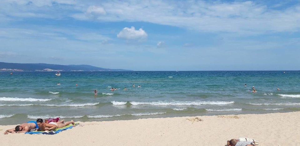 received_355934701728732.jpeg - Any72