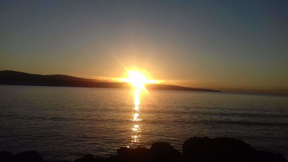 received_338882630367180.jpeg - Any72