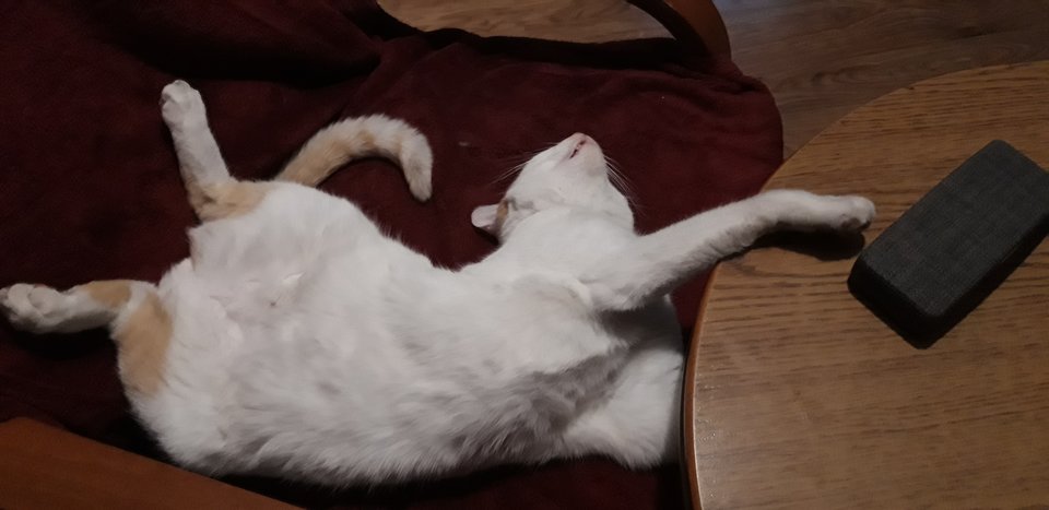 20190621_004226.jpg - Any72