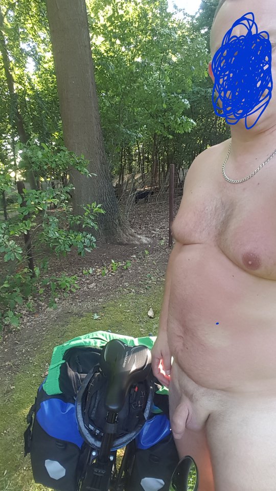 20190627_205641.jpg - lechu1975