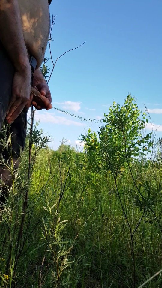 VideoCapture_20190628-113230.jpg - radiodalmacja