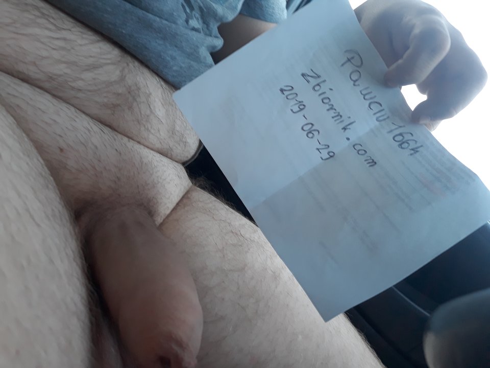 1561829749073710959900715476264.jpg - Pawciu1664