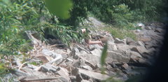 20190629_145054.jpg