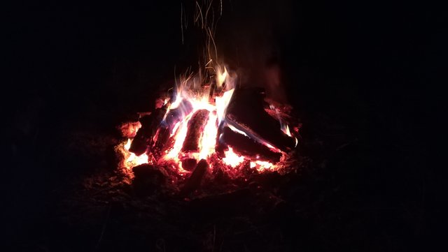 mylubelskie