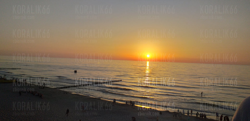 20190629_211836.jpg - Koralik66