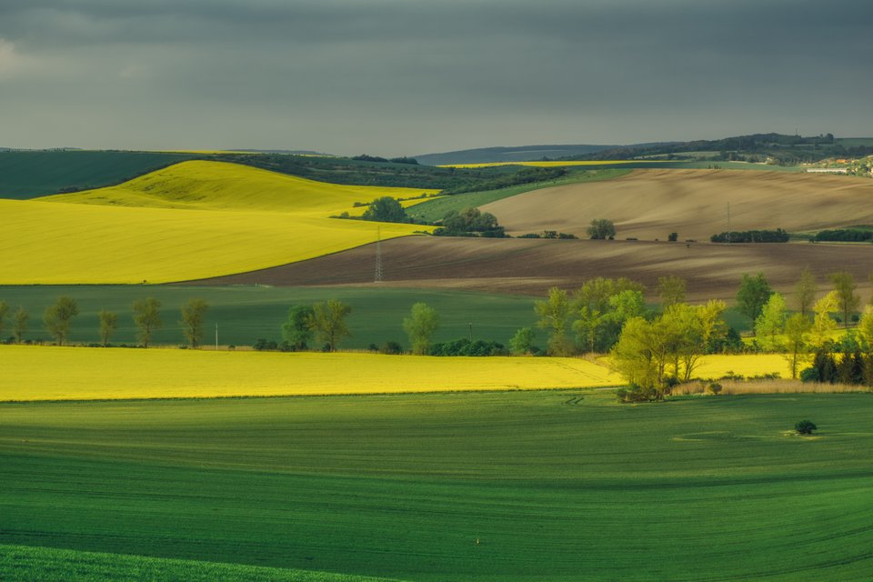 fala na fali - marquiz