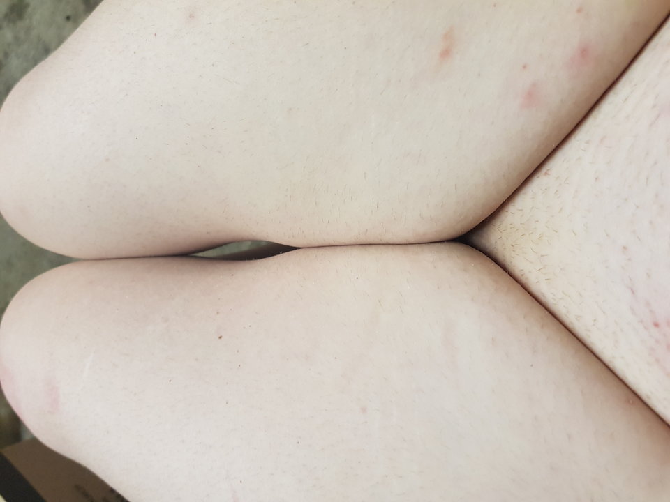 20190629_225412.jpg - Miko92