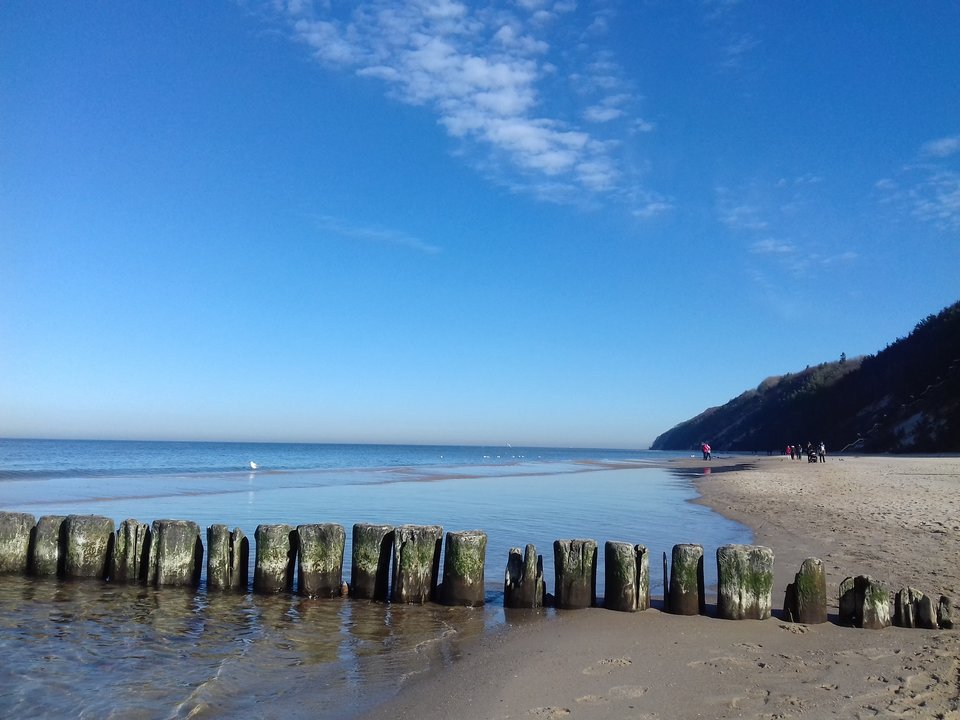 20190224_114103.jpg - torii99