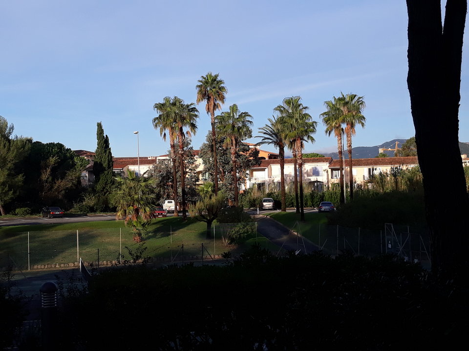 20181030_080506.jpg - 789Karol