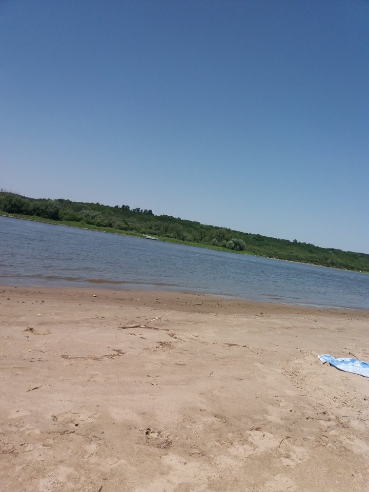 20190630_131419.jpg - sofia64