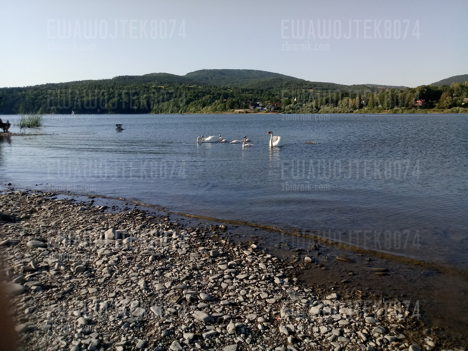 20190630_183806.jpg - ewawojtek8074