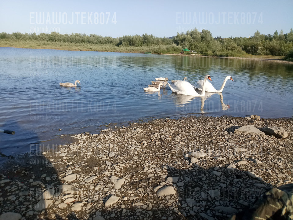 20190630_184122.jpg - ewawojtek8074