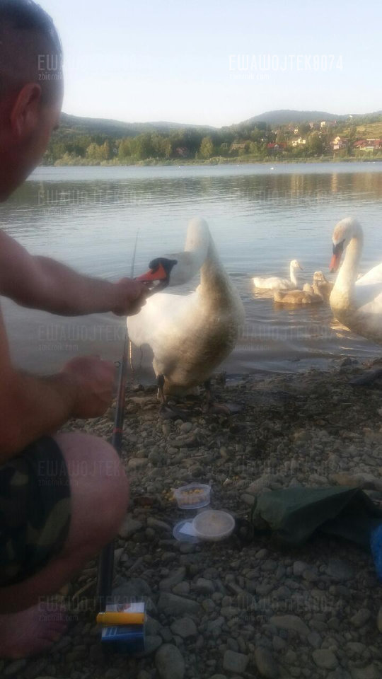 Resized_20190630_193246.jpeg - ewawojtek8074