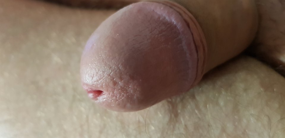 IMG_20190630_2244546158318480056923427.jpg - robin266