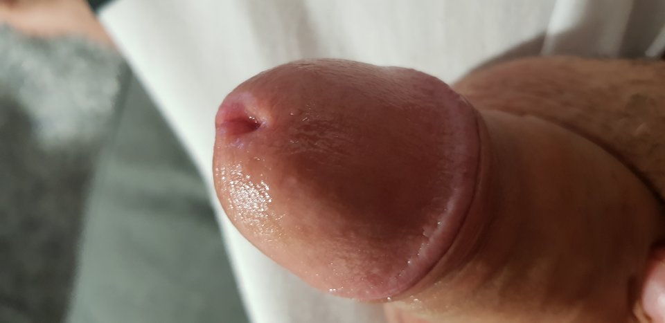 IMG_20190630_2322538156793898692259952.jpg - robin266