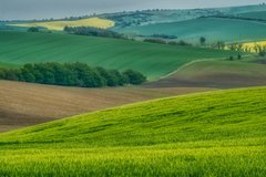 Morawy jeszcze raz na fali