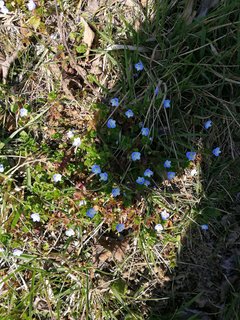 IMG_20190324_125414.jpg