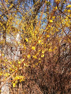 IMG_20190324_123710.jpg