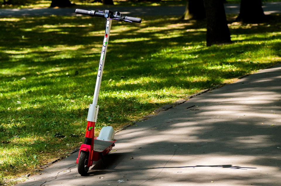 Wolna, samotna w parku i pełna energii - mystic