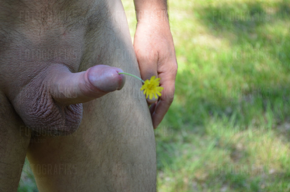 DSC_1367.JPG - fotografik5