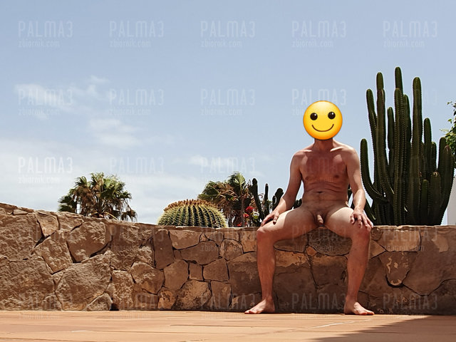 palma3