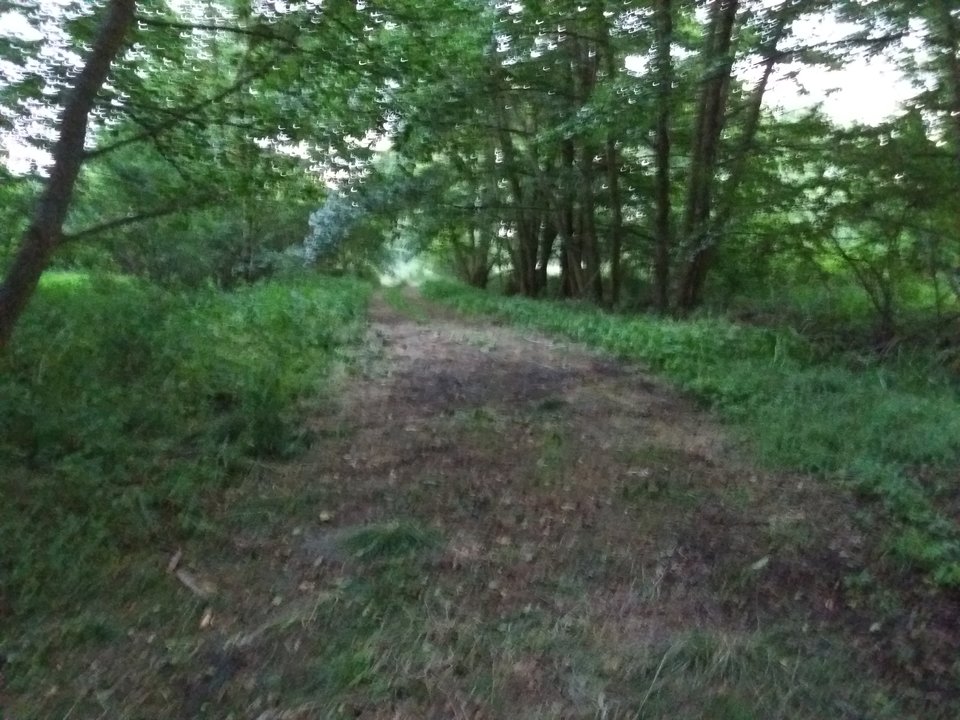 1562094027591492572316.jpg - Szef299