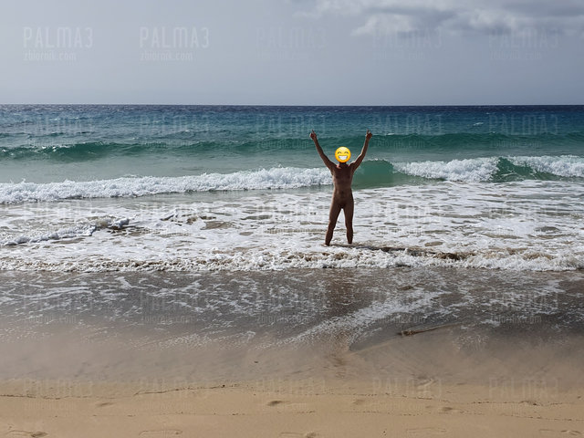 palma3
