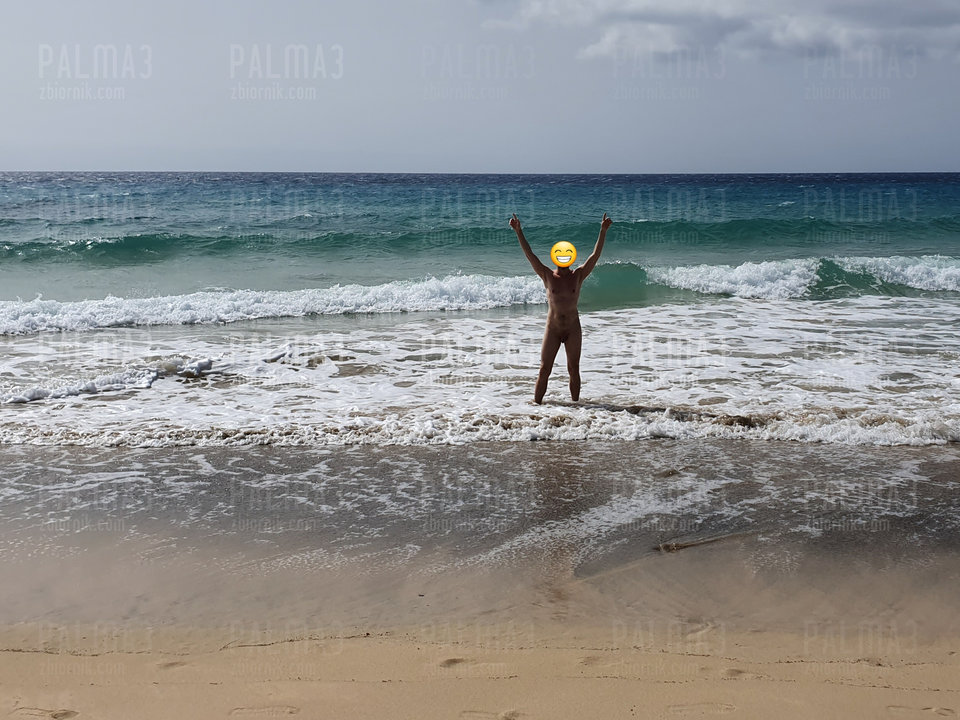 20190702_110854.jpg - palma3