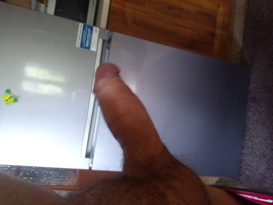 15622494872467000300628022082925.jpg - tomcio31
