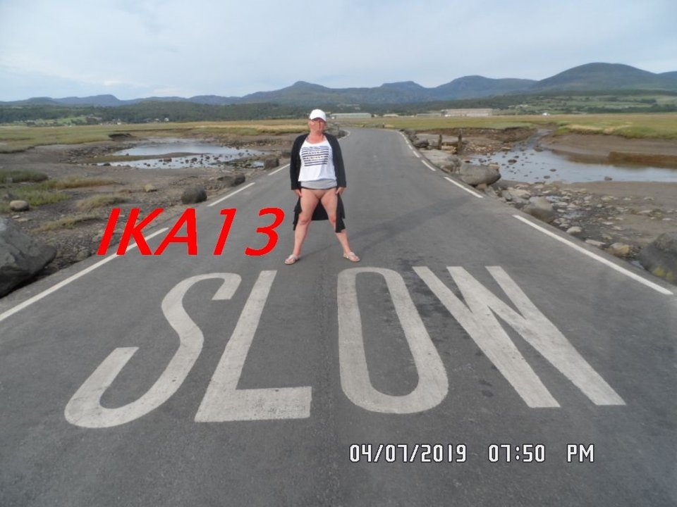 SAM_2087.jpg - ika13