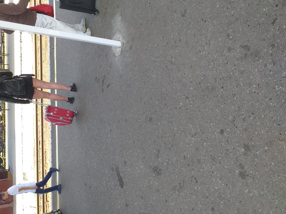 20190705_120025.jpg - kasialesci