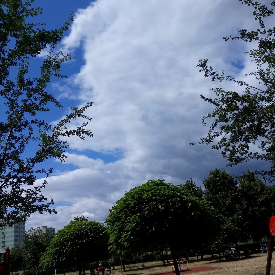 IMG-20190704-WA0001.jpg - podlasiemy