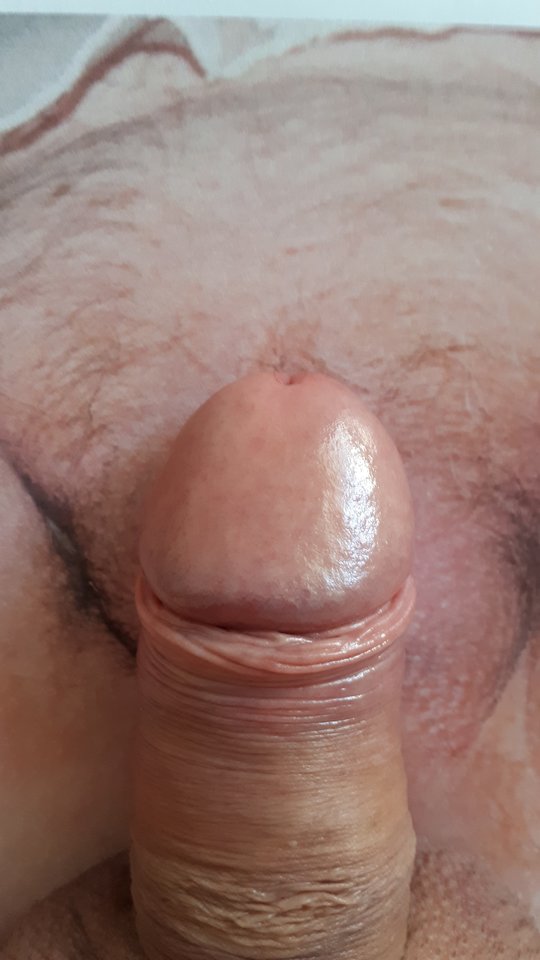 Od cartagina - Ajsza69