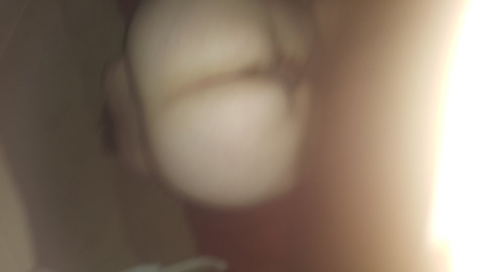 20190703_084434.jpg - Ninjabi