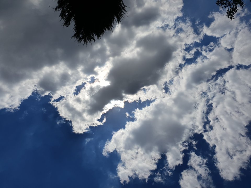 20190623_130807.jpg - PuszysteCiasteczkoOnaaa