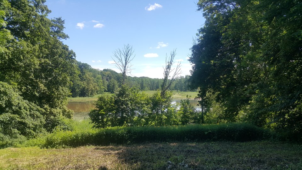 20190623_133957.jpg - reporter13