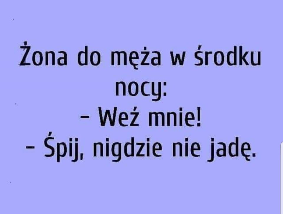 65691972_1487577981382371_7950816700708945920_o.jpg - magellan