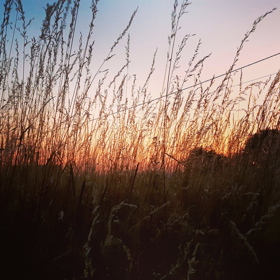 IMG_20190629_222628_367.jpg - Whiskeyman