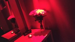 HELLO SUMMER - SEX PARTY - 06.07.2019 r. (sobota)