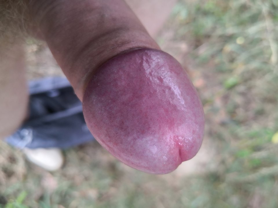 IMG_20190703_114103.jpg - ragun