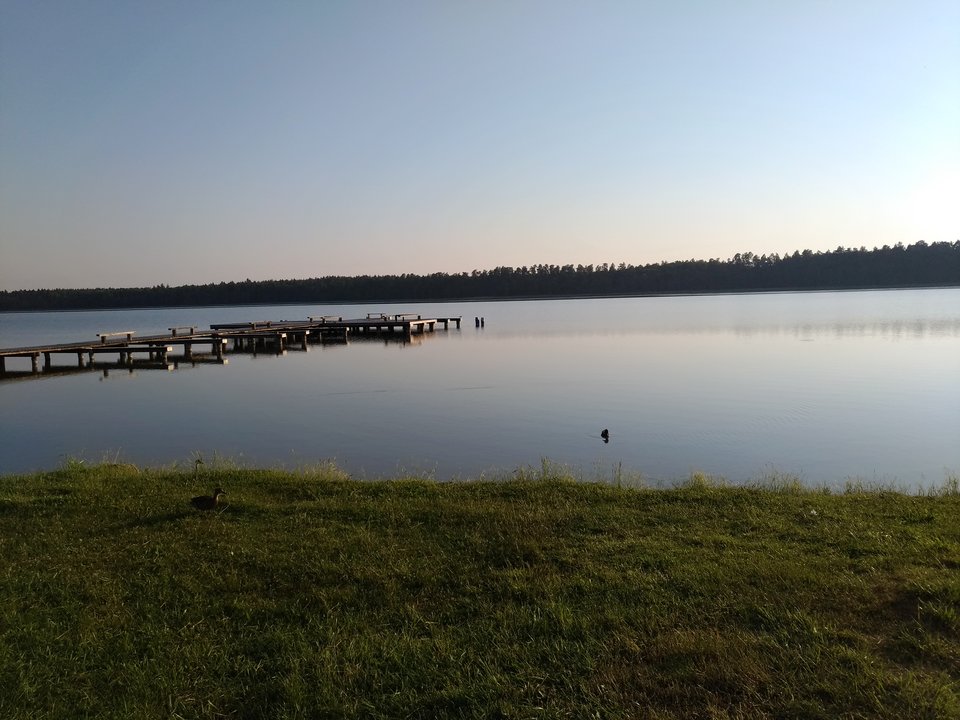 P_20190613_053122_vHDR_On.jpg - Piotrusla