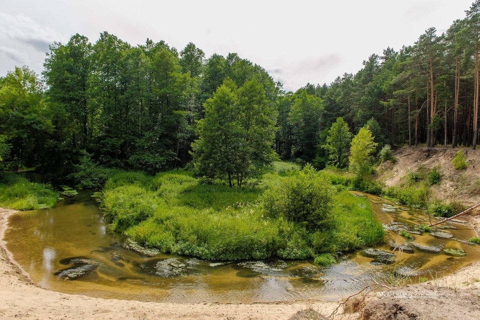 received_531840400688842.jpeg - FoczkaiMors