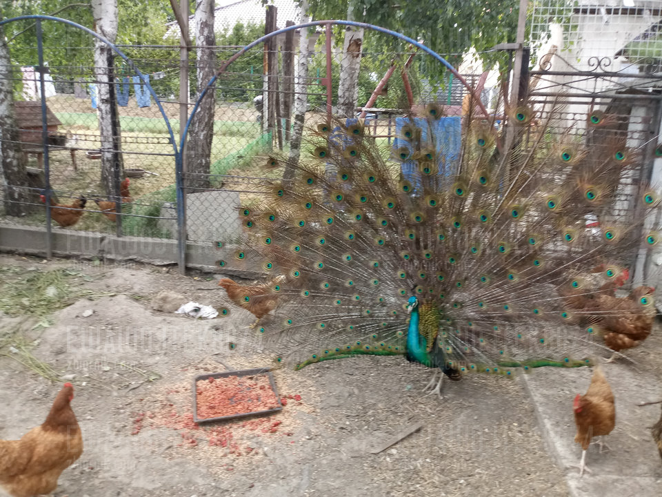 20190708_163735.jpg - ewawojtek8074