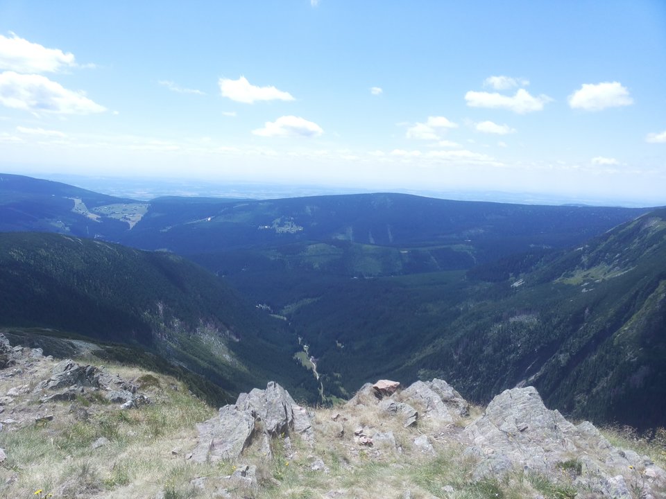 20190703_130414.jpg - realnaimilaparkakrakow