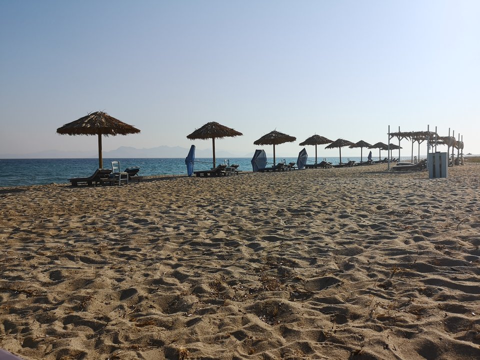 IMG_20190629_081808.jpg - anteklem