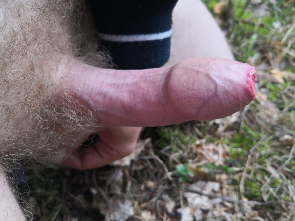 IMG_20190708_104234.jpg - ragun