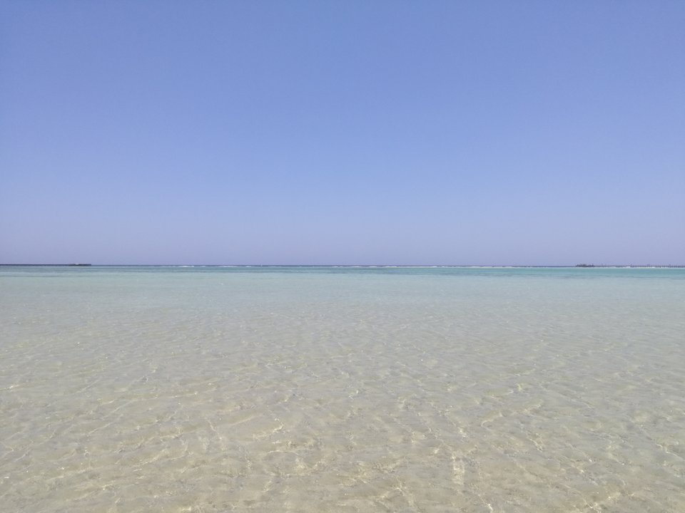 holidays 2019 - xesxes