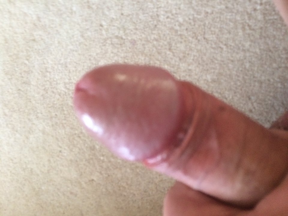 IMG_1503.JPG - ARMIN76