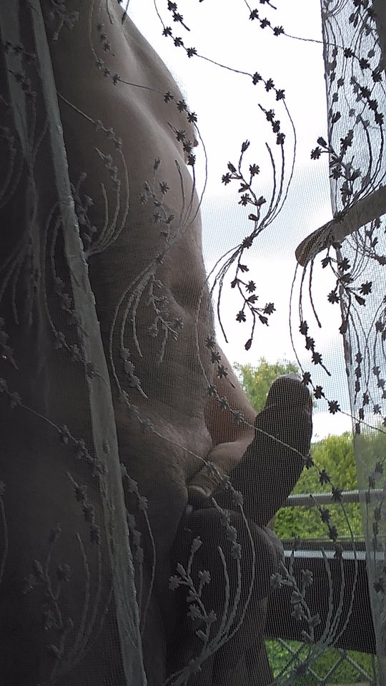 IMG_20190710_064743.jpg - xxxMarcoxxx