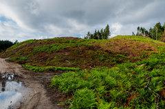 To nie tornado - to przeszedł PiS